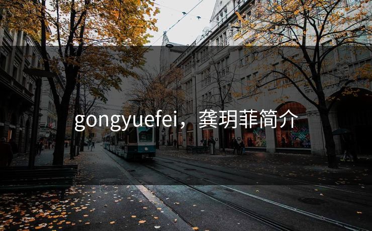 gongyuefei，龚玥菲简介
