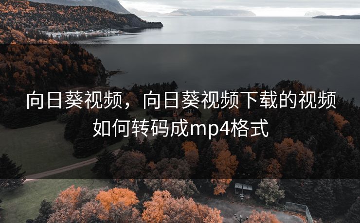 向日葵视频，向日葵视频下载的视频如何转码成mp4格式