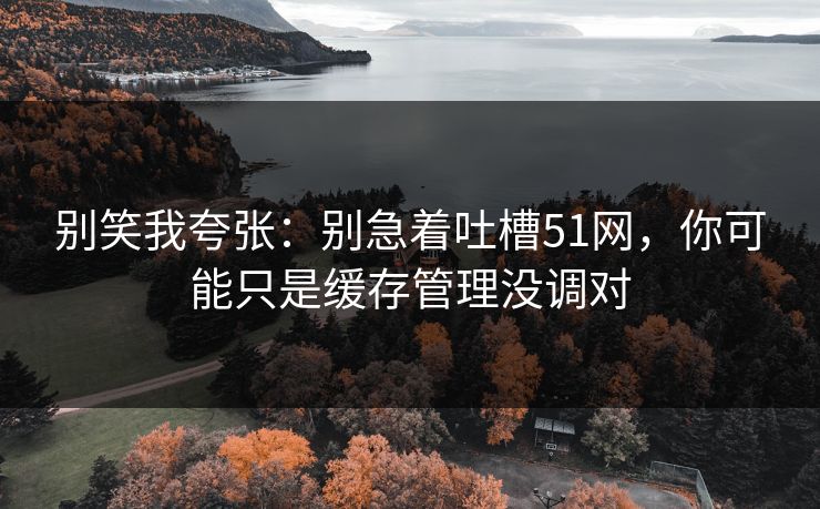 别笑我夸张：别急着吐槽51网，你可能只是缓存管理没调对