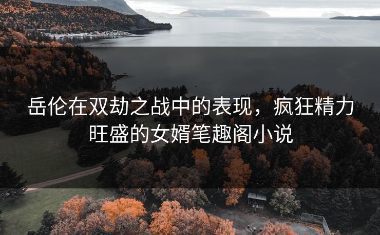 岳伦在双劫之战中的表现,疯狂精力旺盛的女婿笔趣阁小说