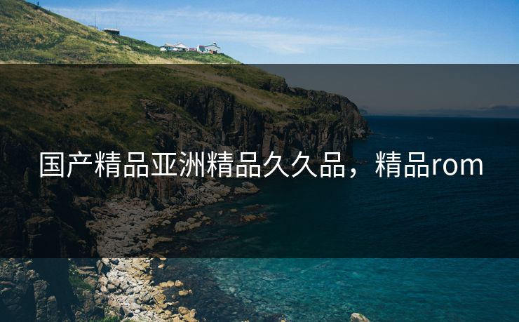 国产精品亚洲精品久久品,精品rom 国产精品亚洲精品久久品,精品rom